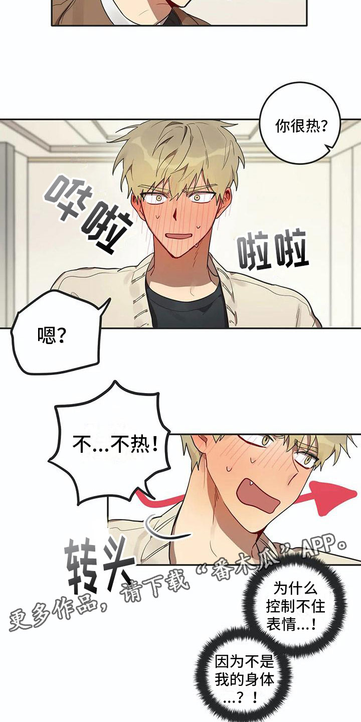 第5章：关键信息15