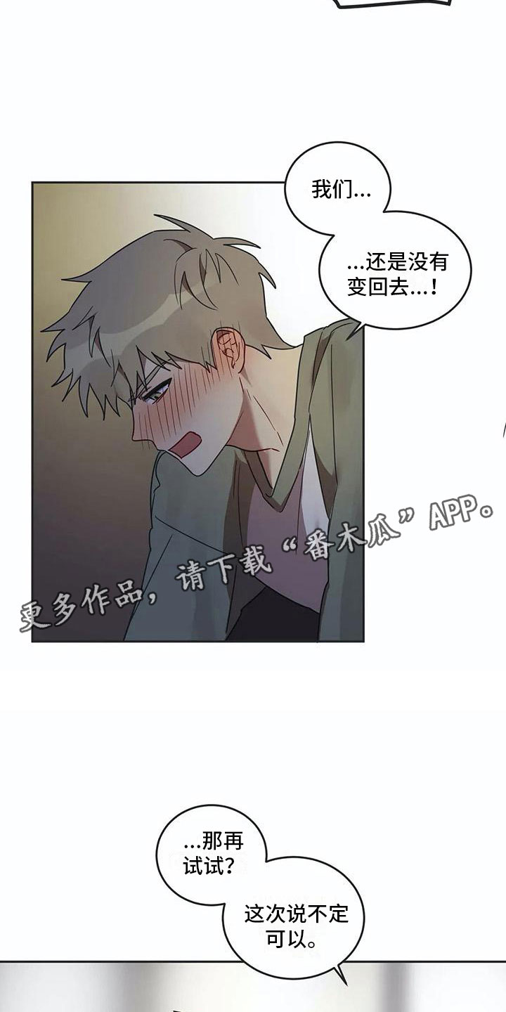 第17章：诅咒解除4