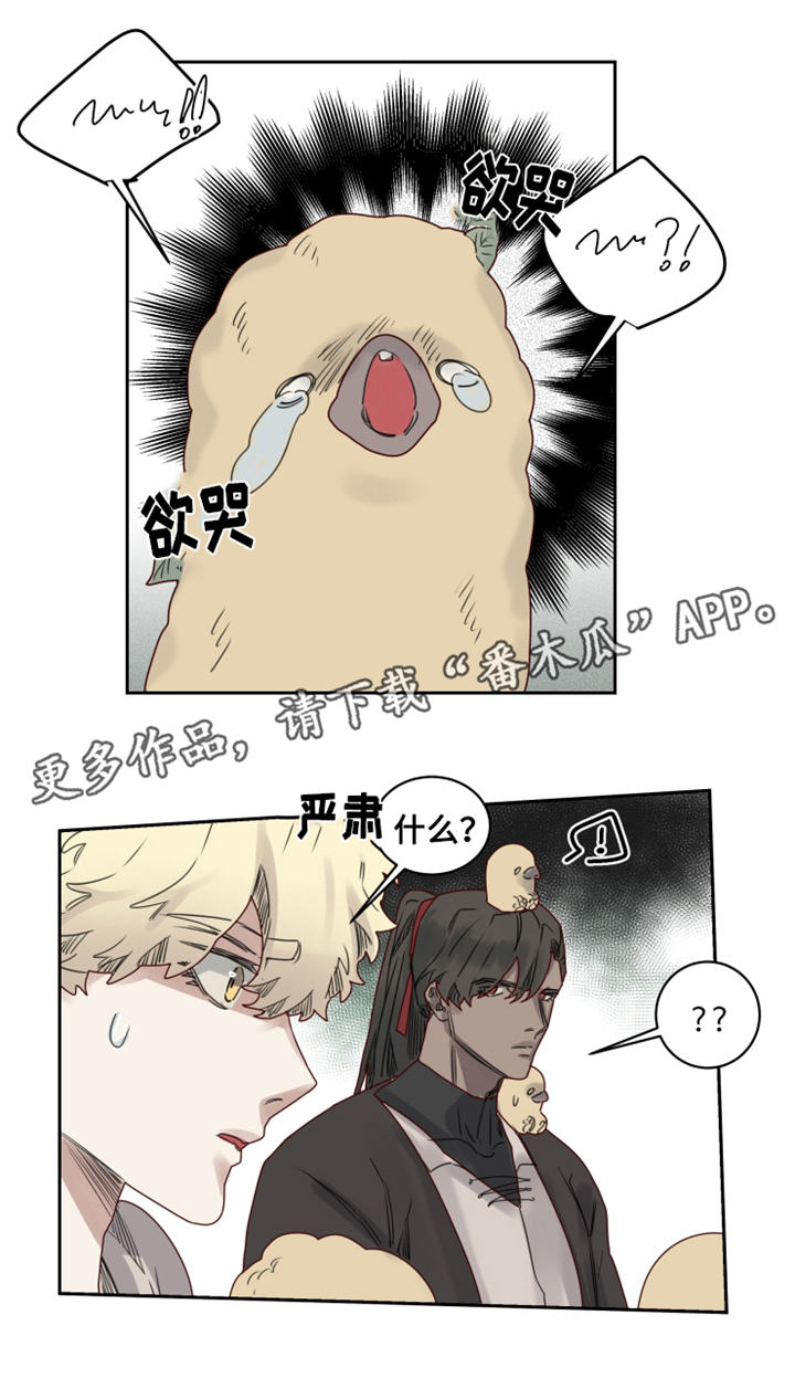 第20章：观察者11