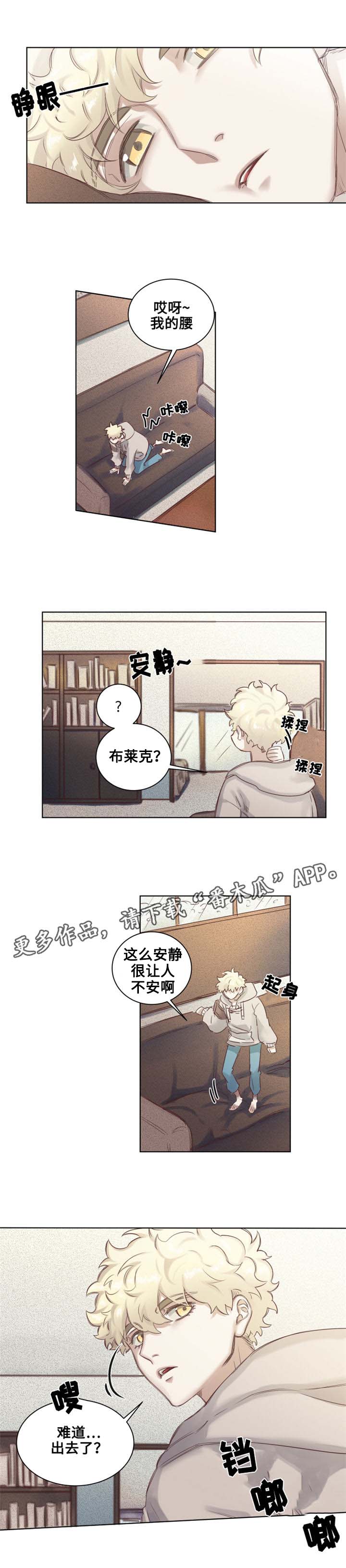 第5章：青蛙夫妇5