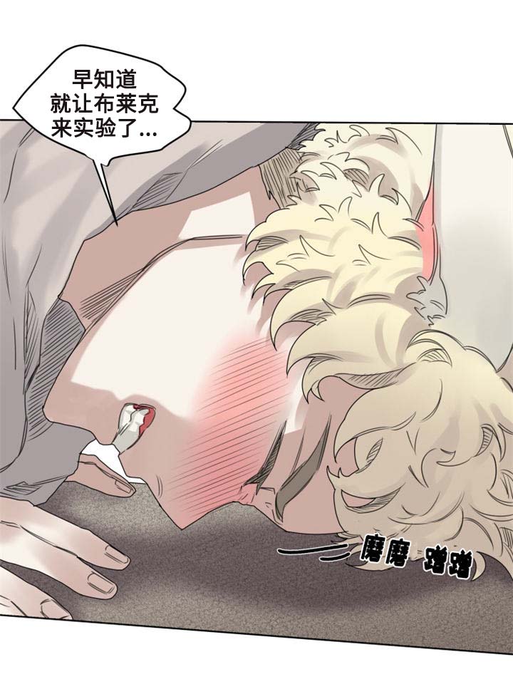 第9章：猫咪套装10