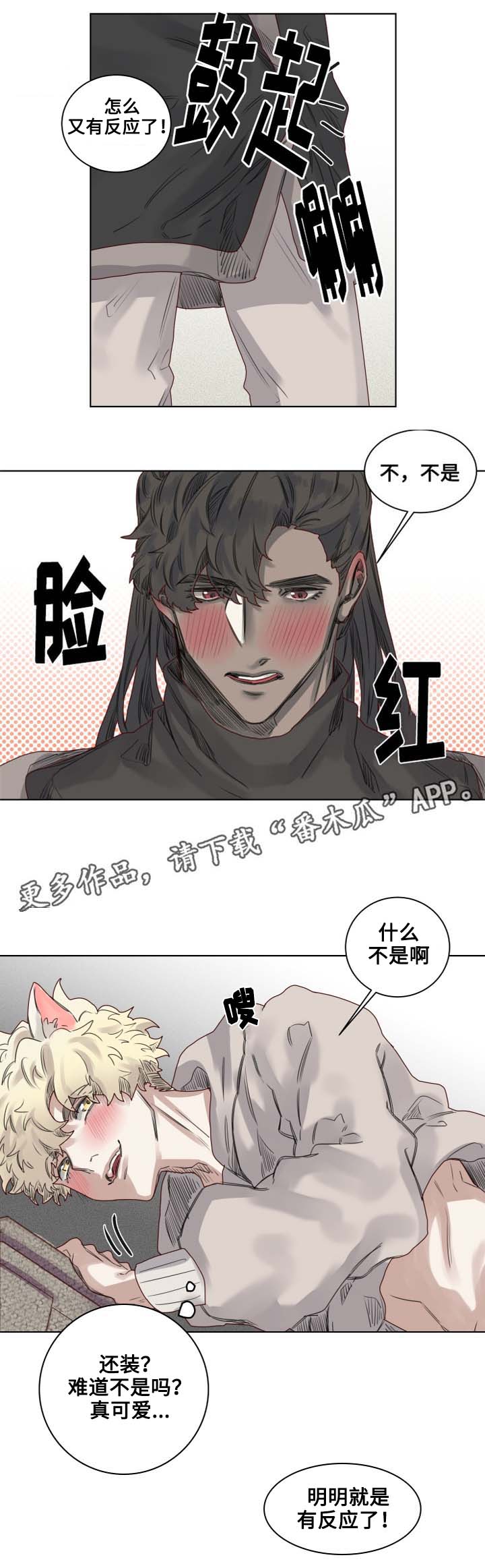 第10章：套装后遗症4