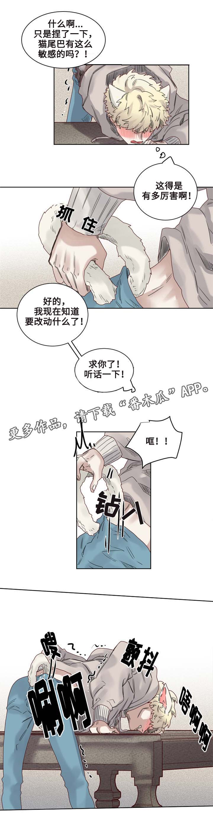 第9章：猫咪套装9