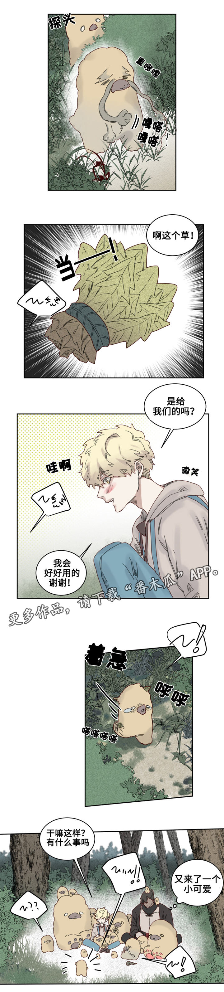 第20章：观察者10