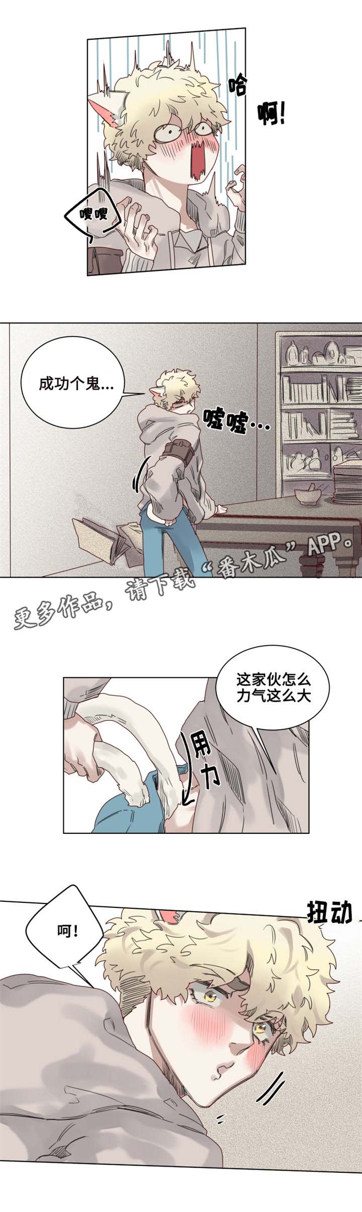 第9章：猫咪套装8