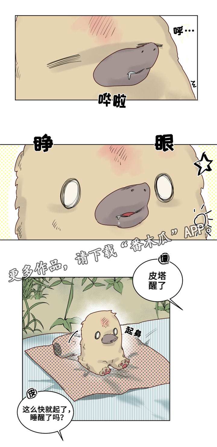 第20章：观察者3