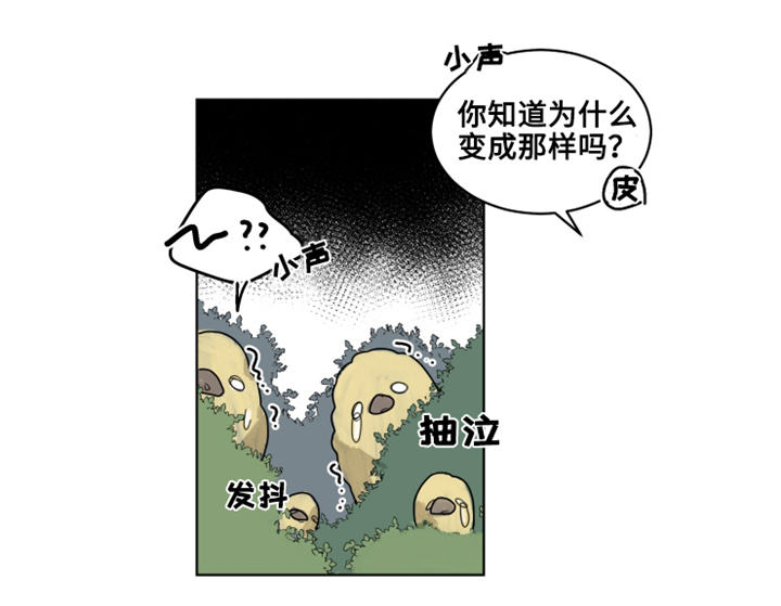 第21章：陌生的毒花2