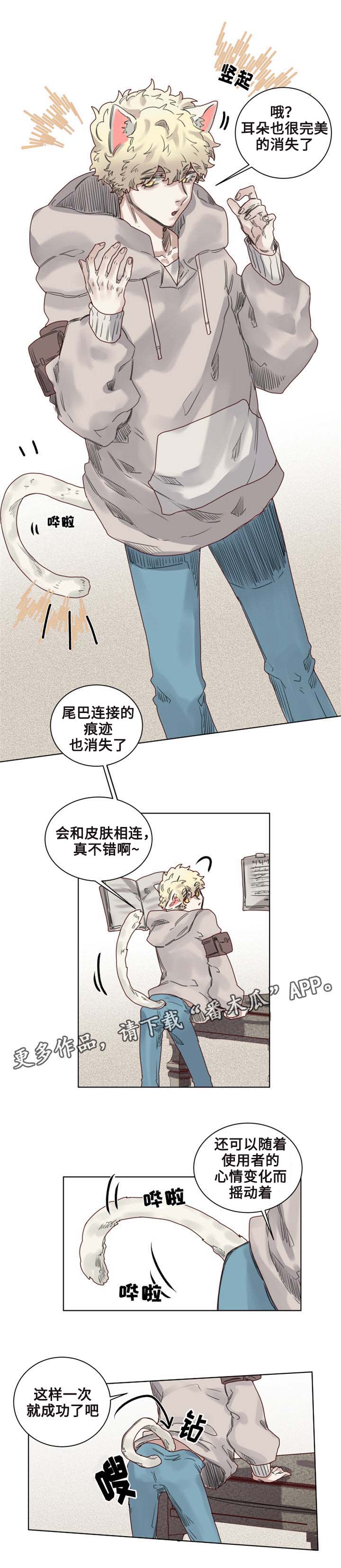 第9章：猫咪套装7
