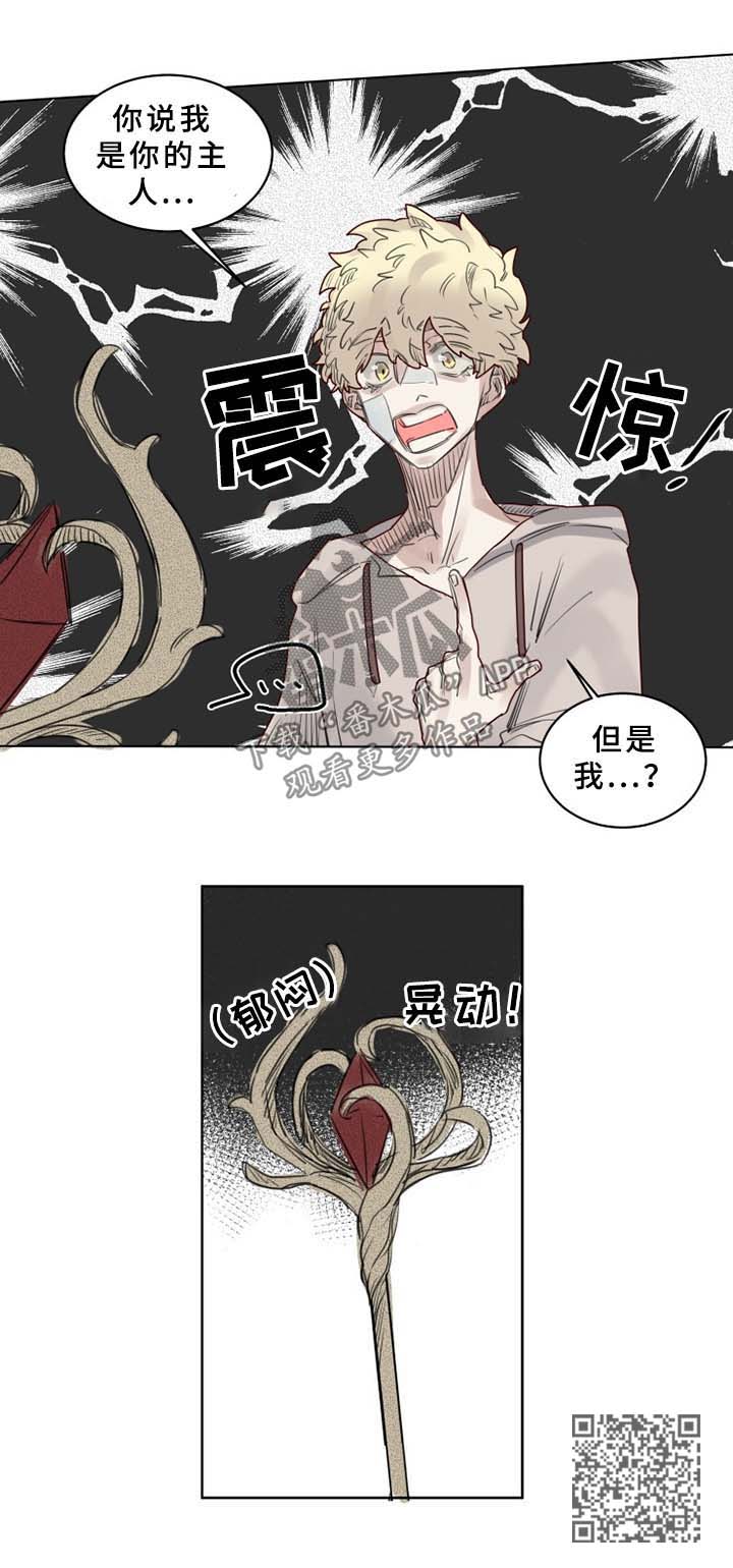 第41章：大魔法师的秘密5
