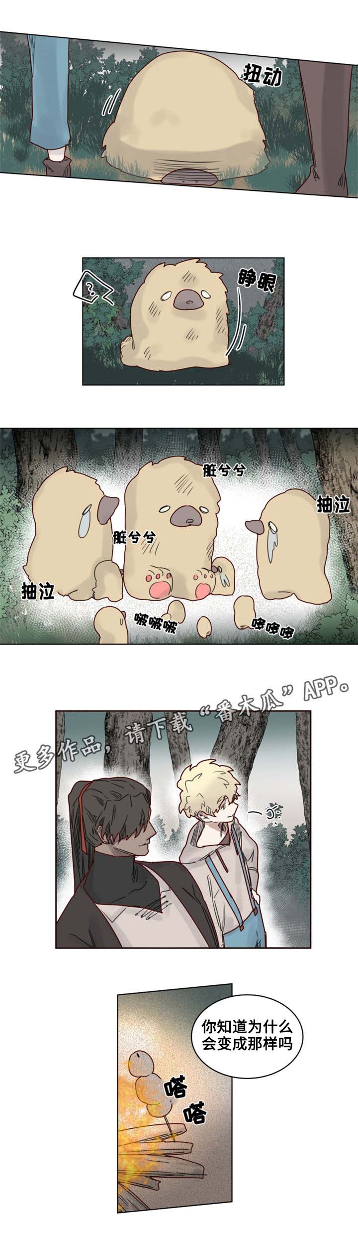 第21章：陌生的毒花5