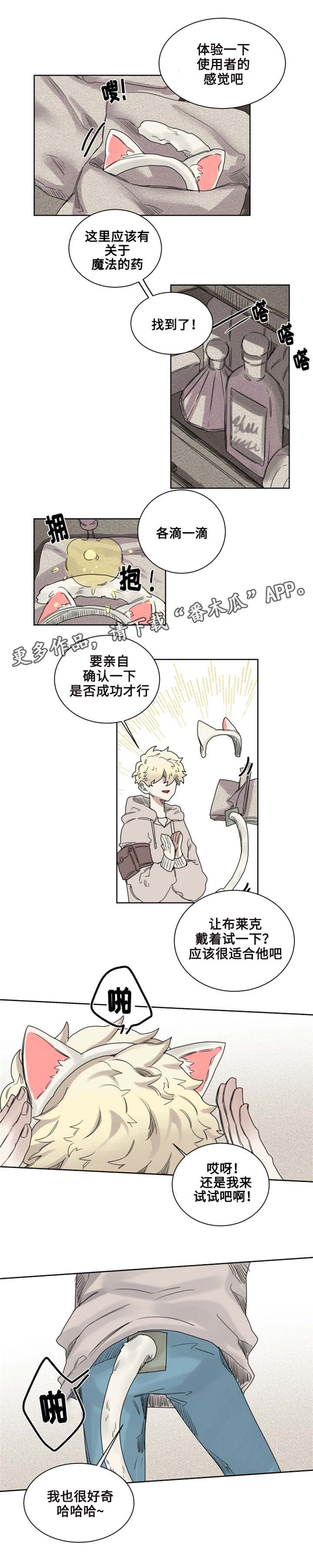 第9章：猫咪套装6