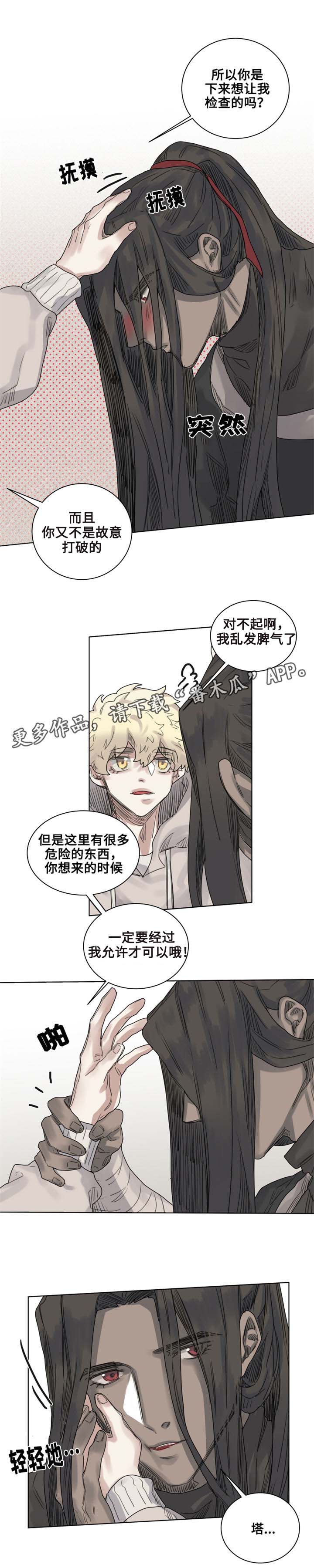 第9章：猫咪套装2
