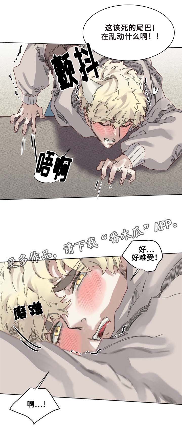 第10章：套装后遗症1