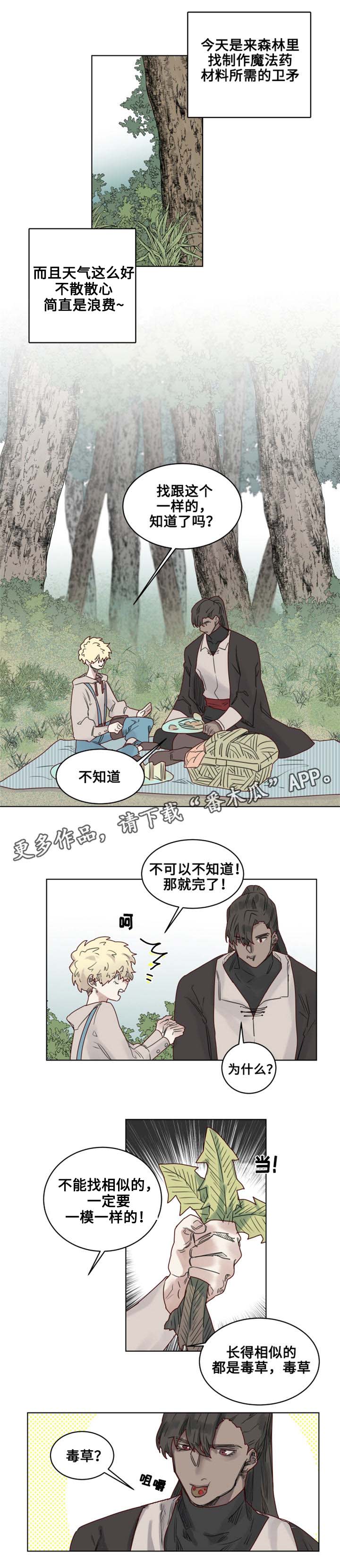 第20章：观察者0