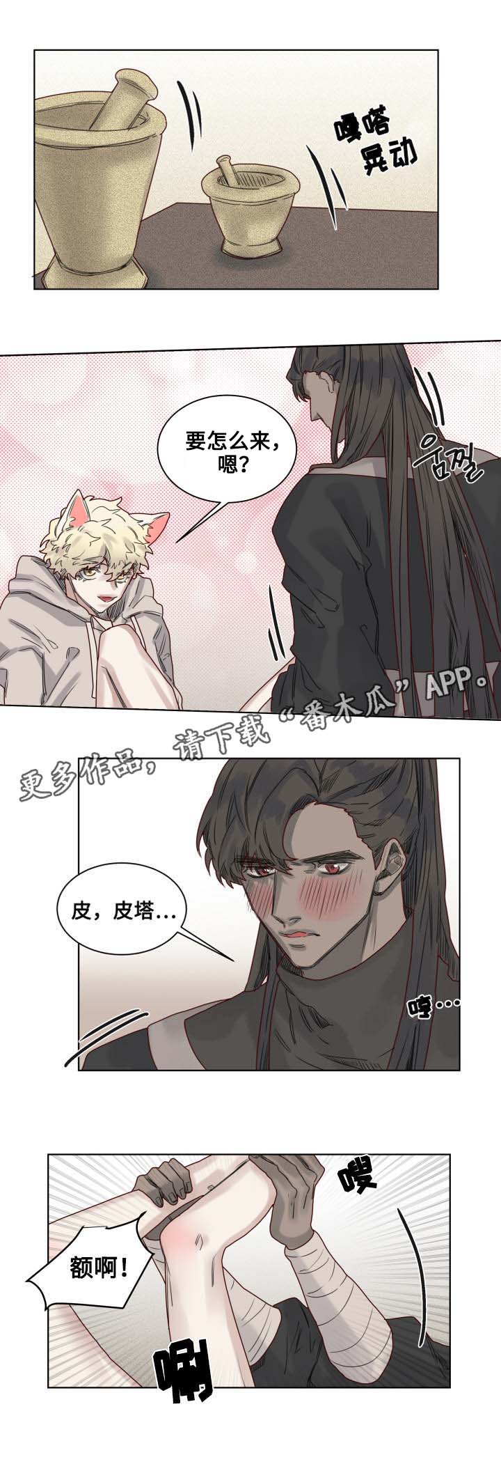 第10章：套装后遗症6