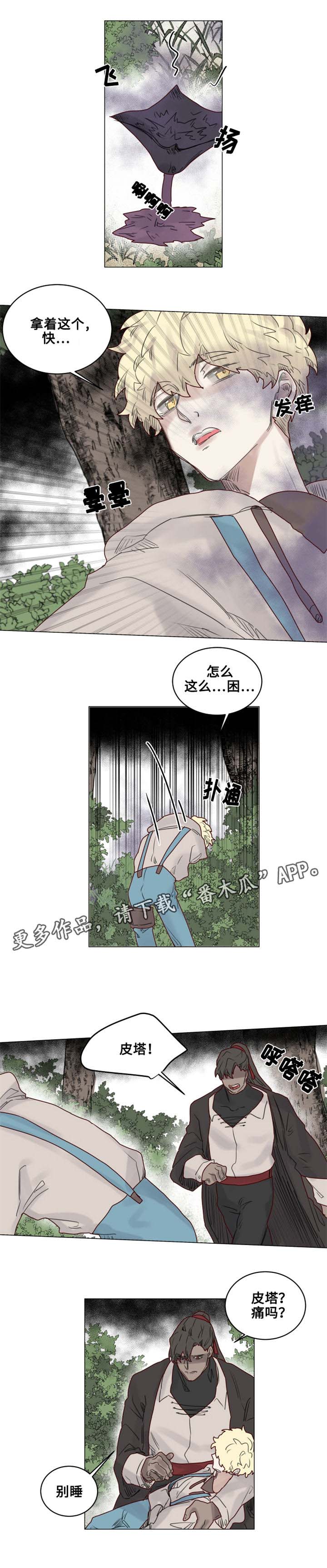 第21章：陌生的毒花8