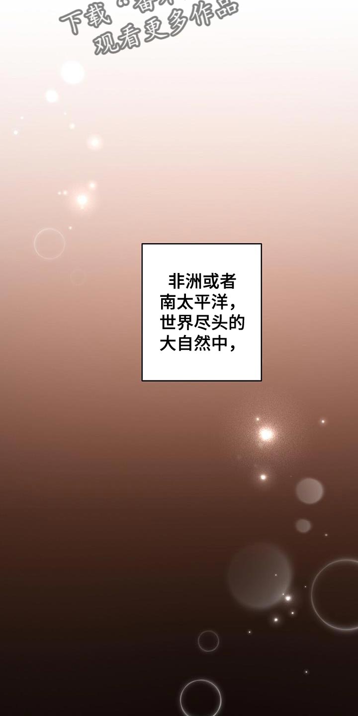 第145章：【第三季】温暖而甜蜜（完结）10