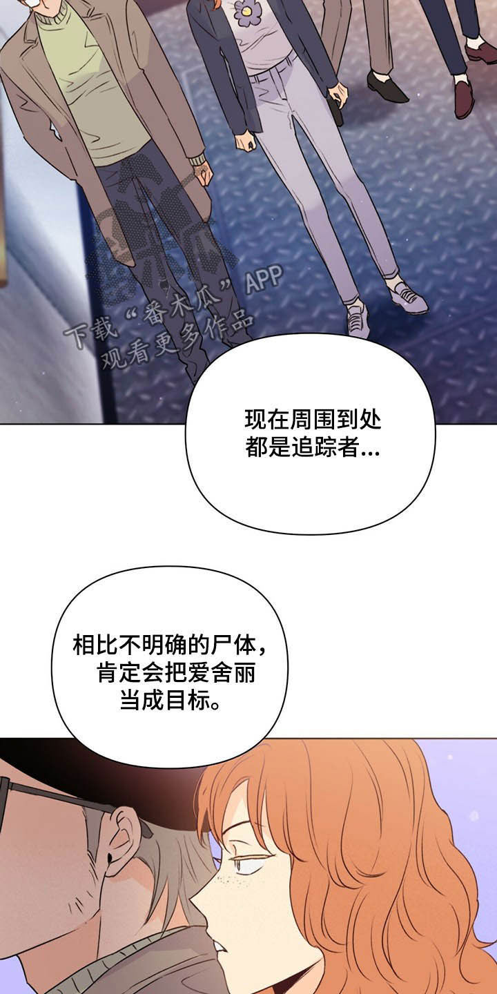 第56章：枪11