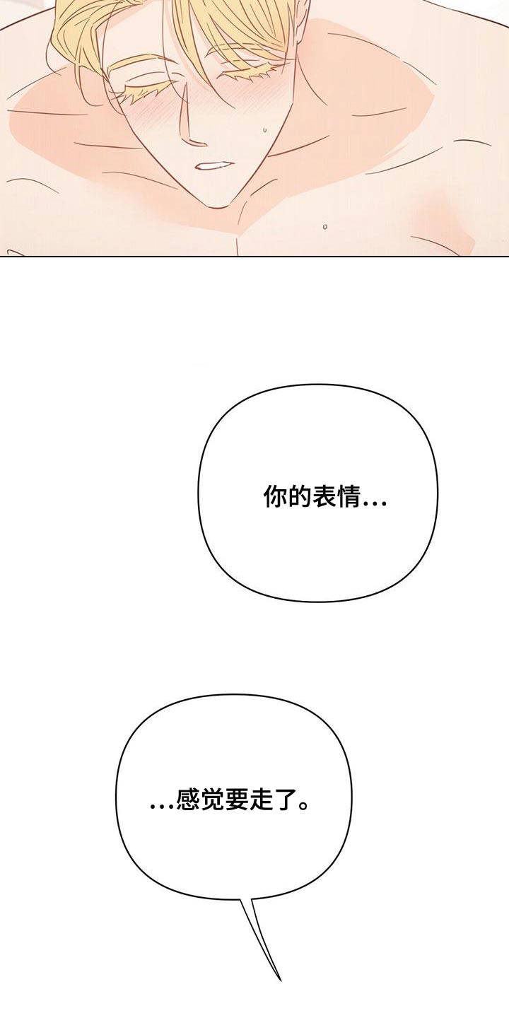 第110章：【第三季】美丽也有上限18
