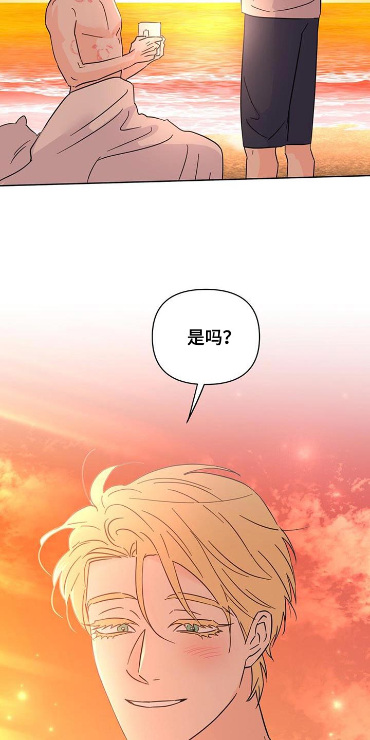 第145章：【第三季】温暖而甜蜜（完结）14