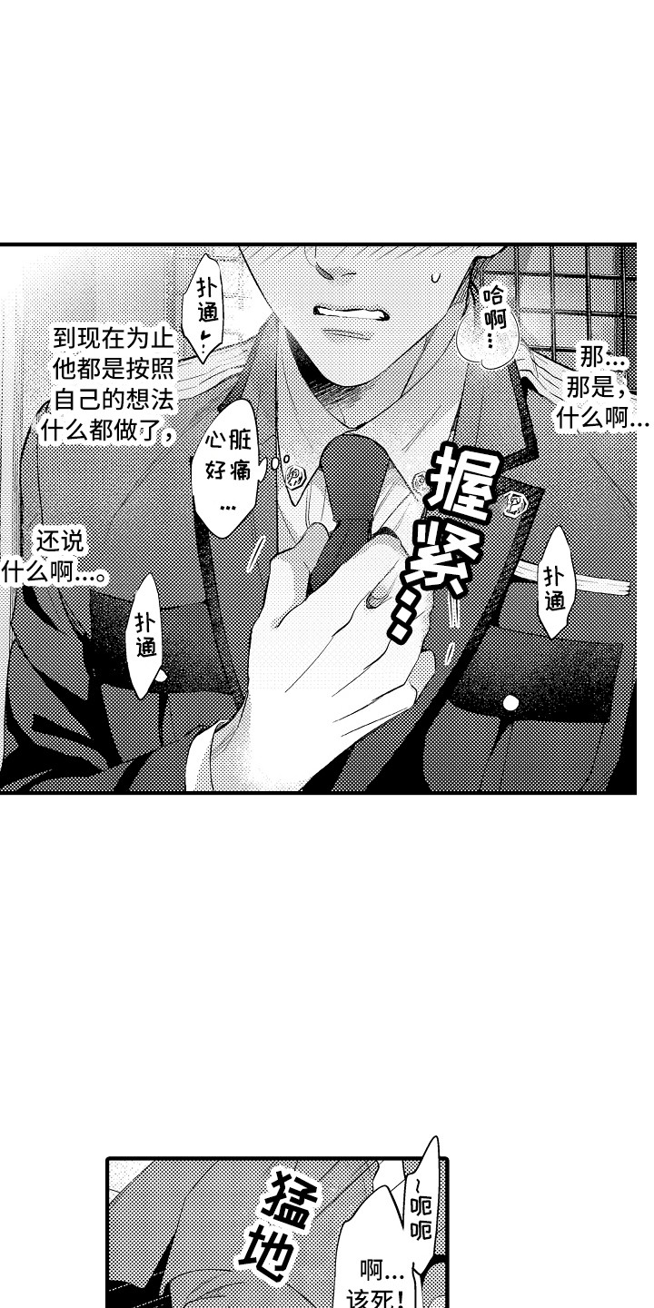 第25章：解释15