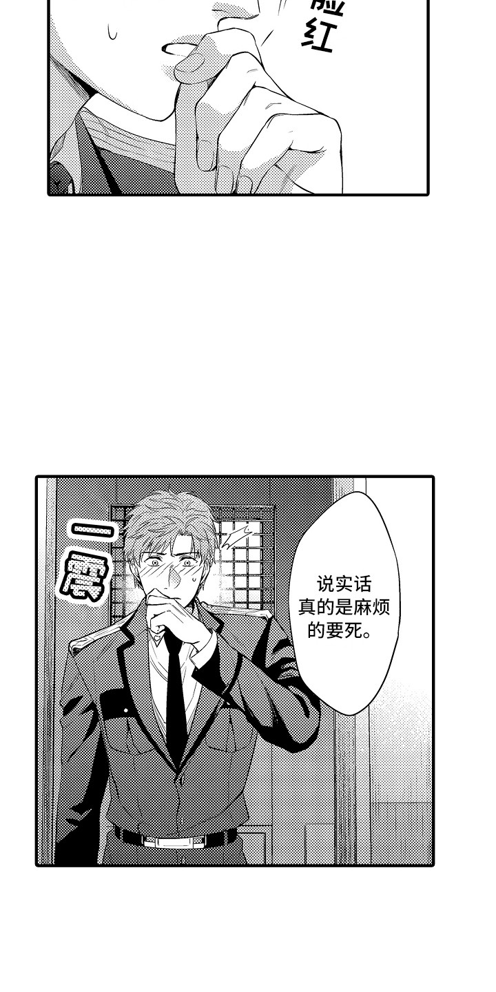 第25章：解释12