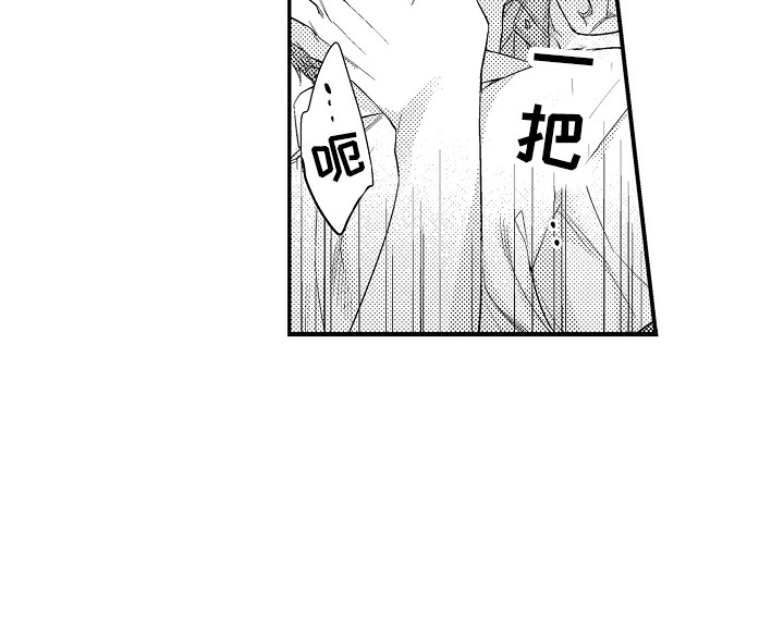 第13章：本能5