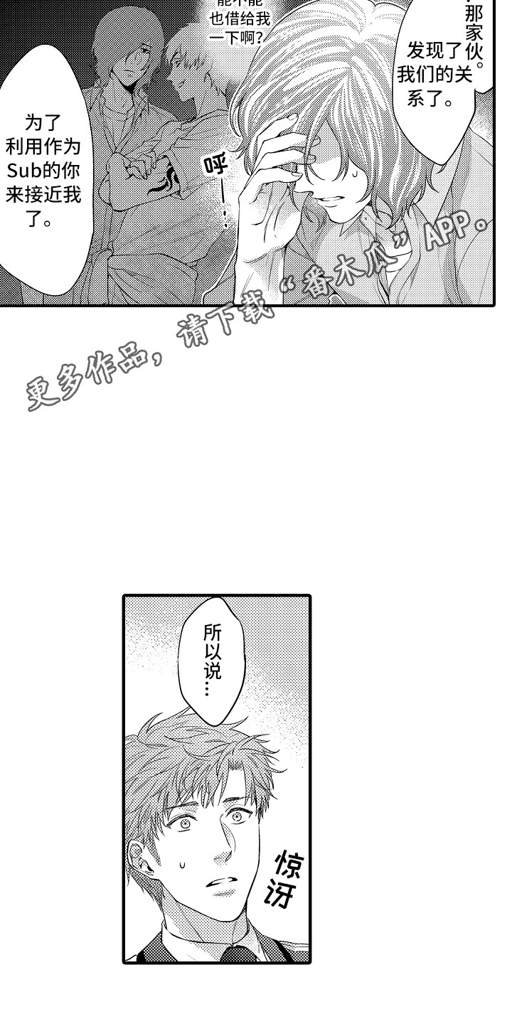 第25章：解释10