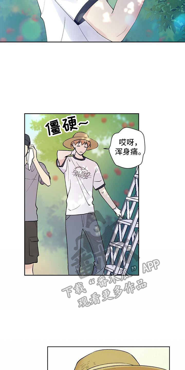 第14章：摘苹果10