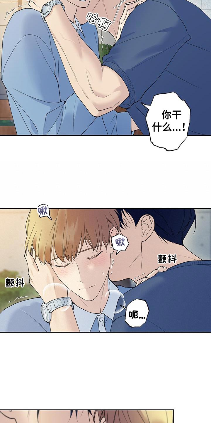 第44章：差不多解决了6