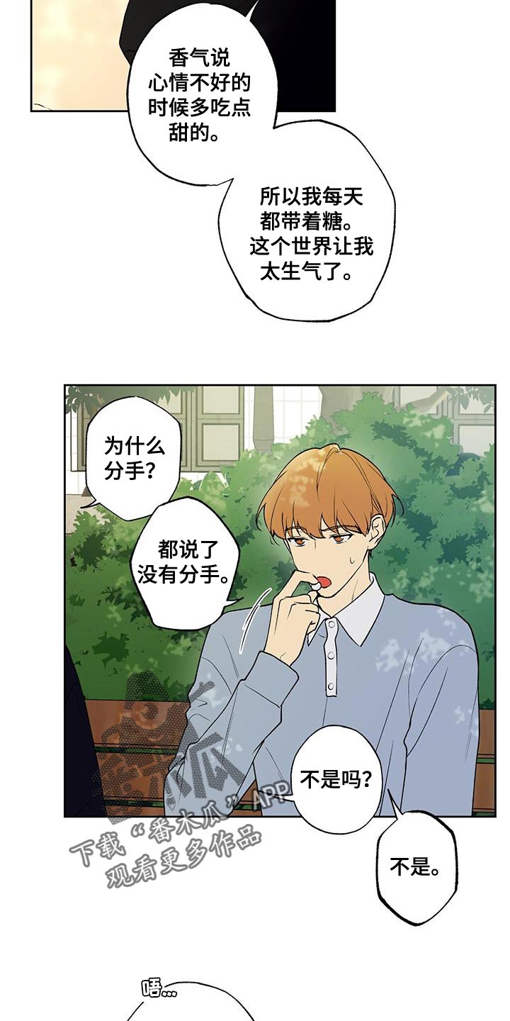 第42章：痴情6