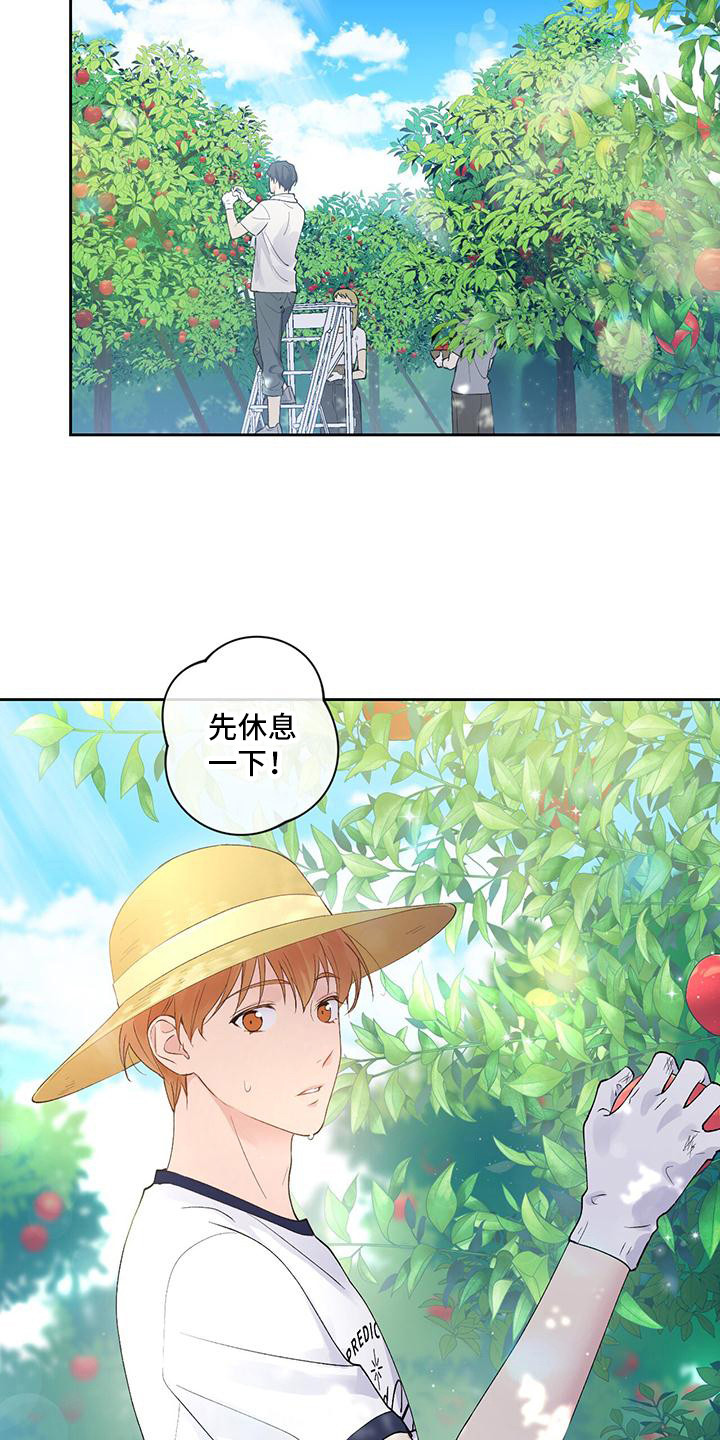 第14章：摘苹果9