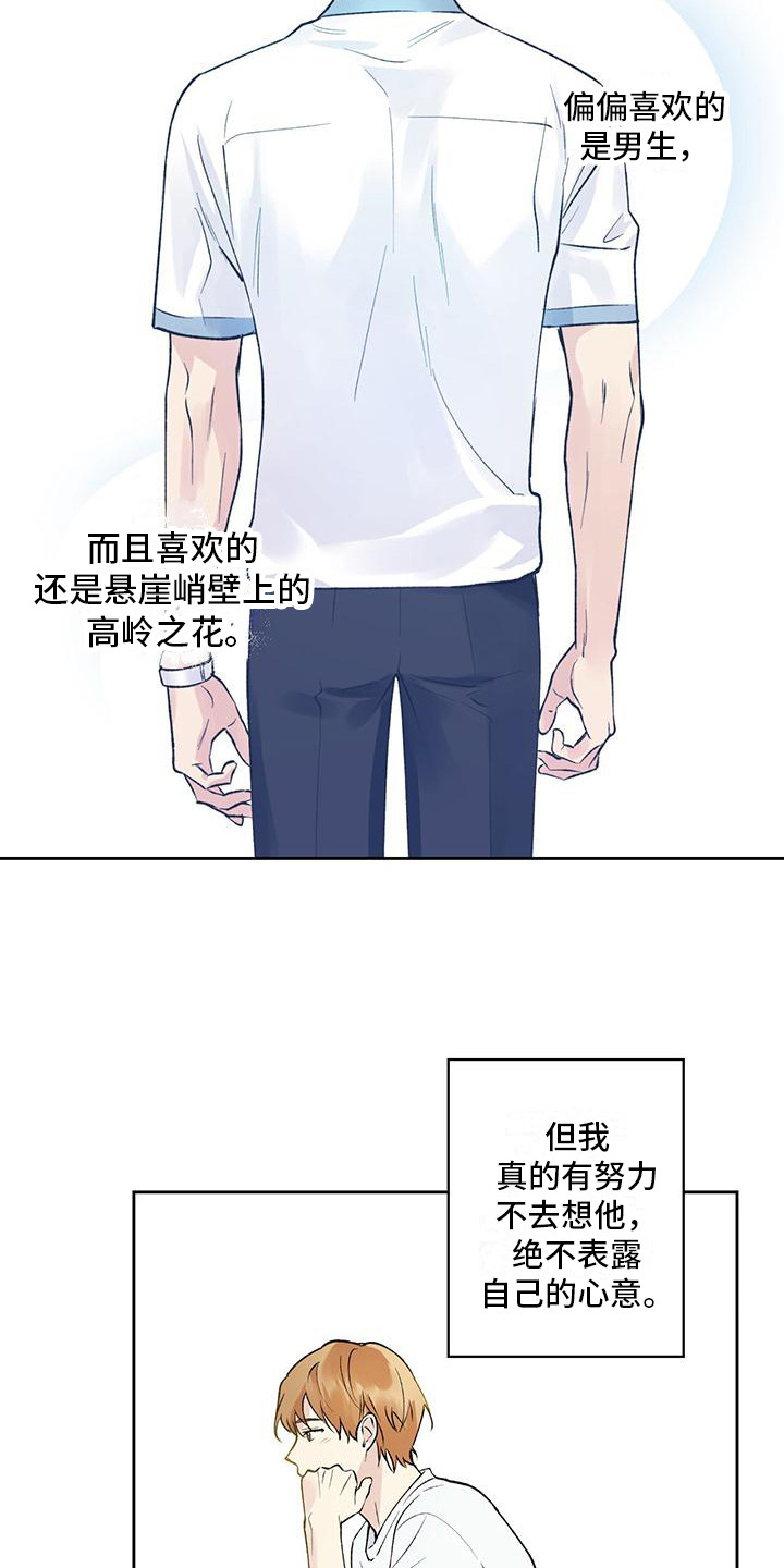 第3章：隐藏心意6