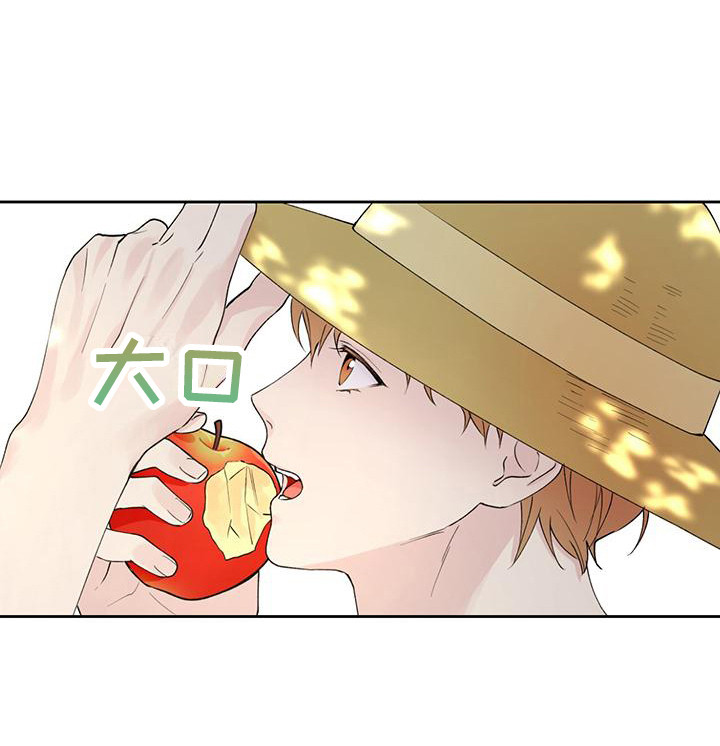 第15章：没有变化9
