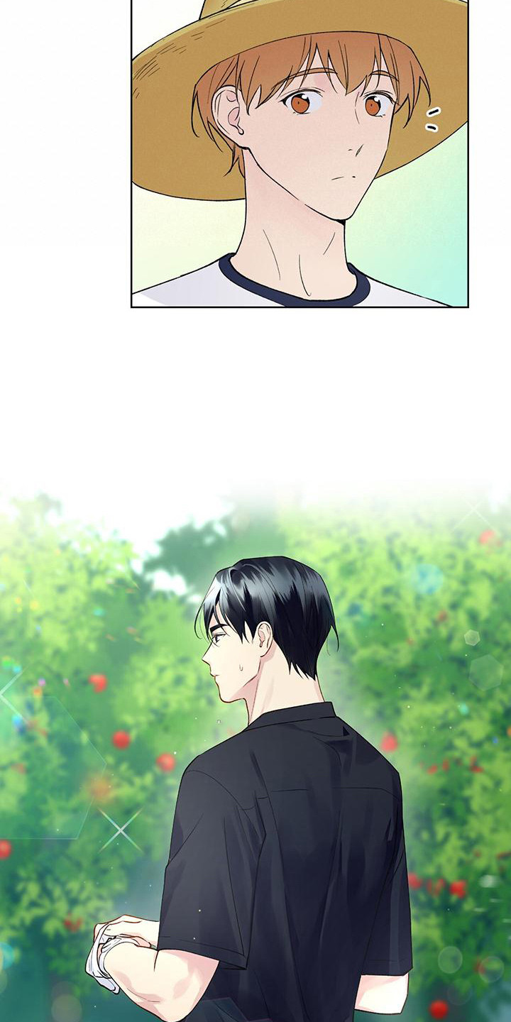 第14章：摘苹果11