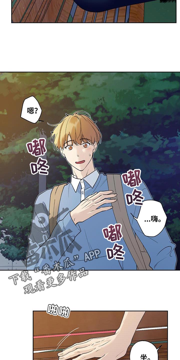 第43章：是我弄的7