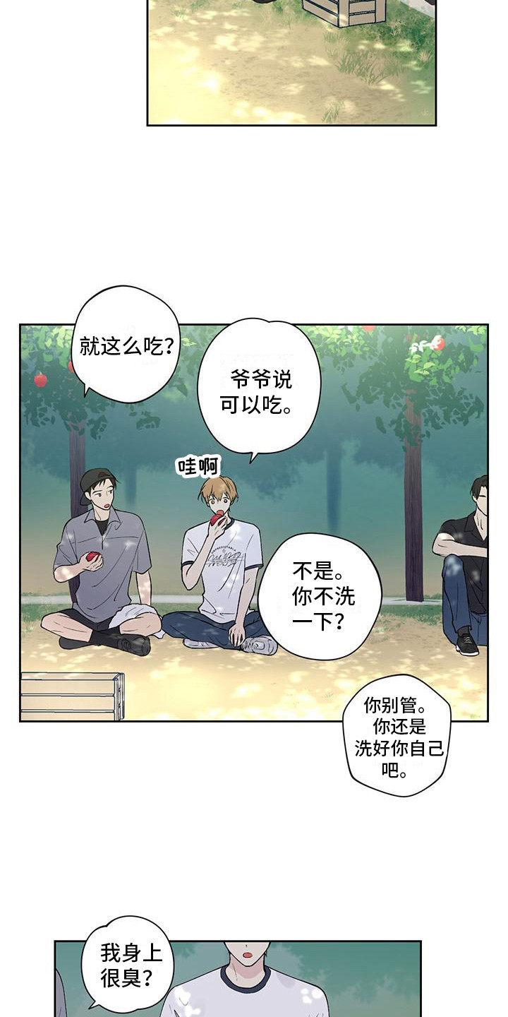 第14章：摘苹果14