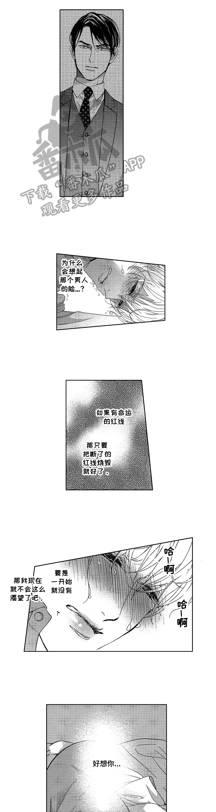 第4章：丈夫4
