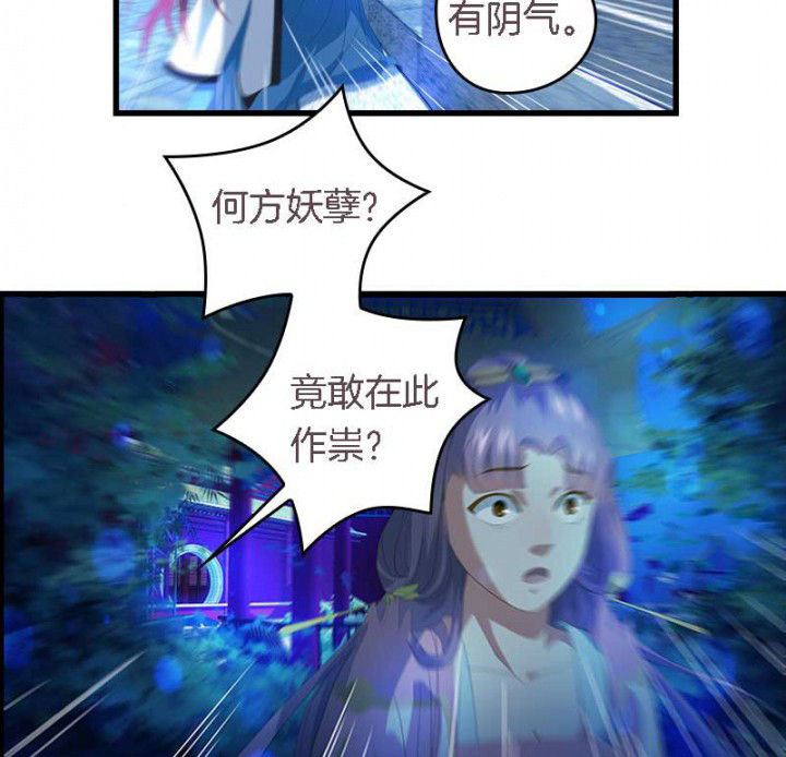第35章：陷阱15