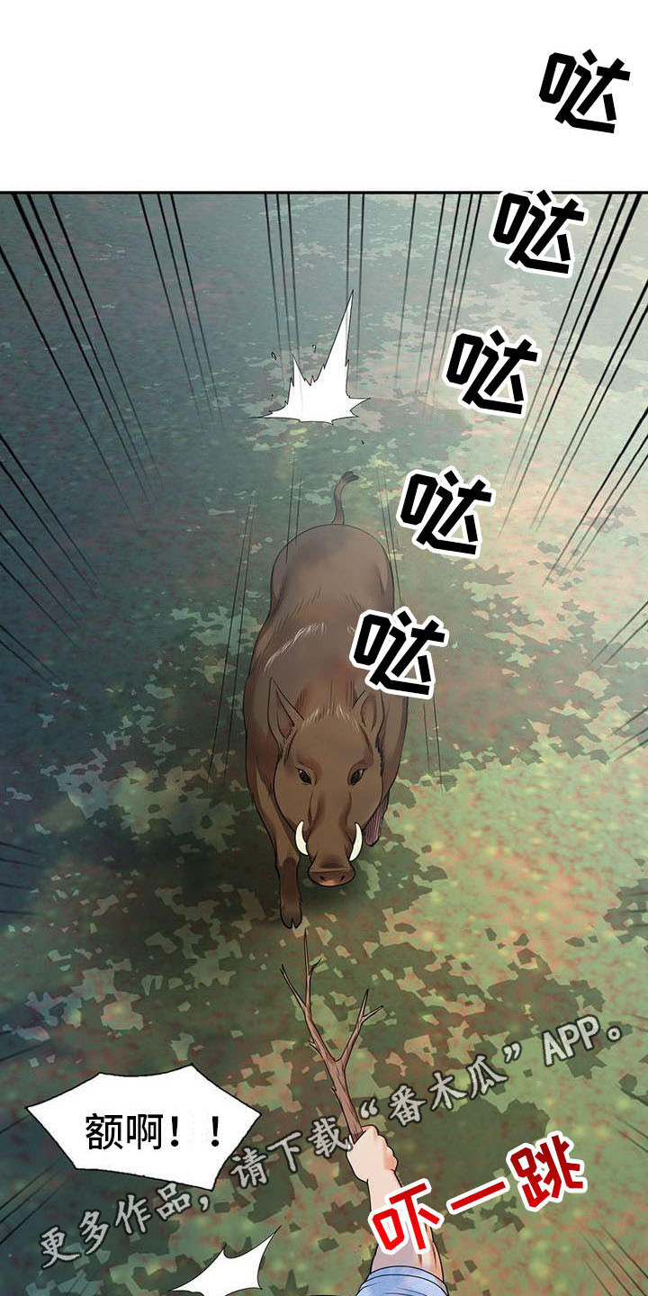 第8章：野猪9