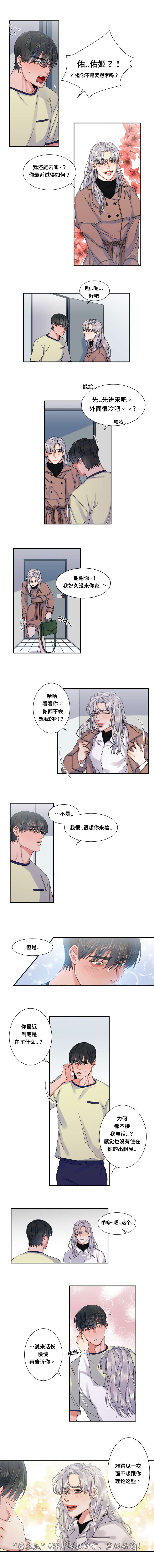 第38章：错觉0