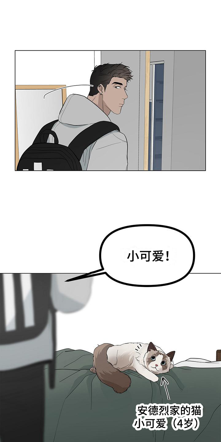 第21章：行动13