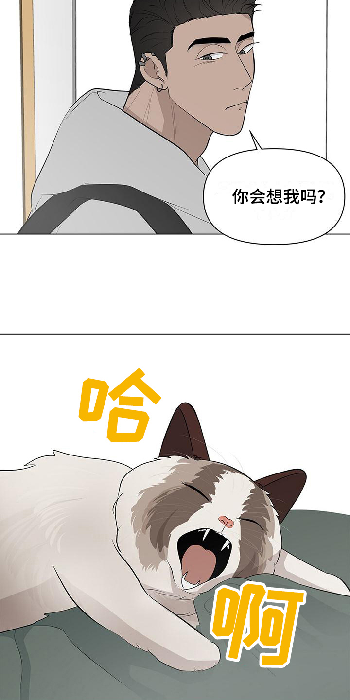 第21章：行动16