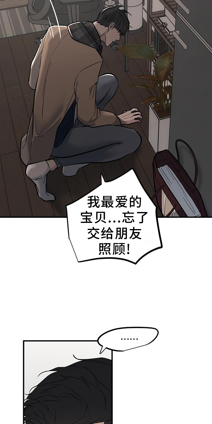 第48章：【第二季】提问4