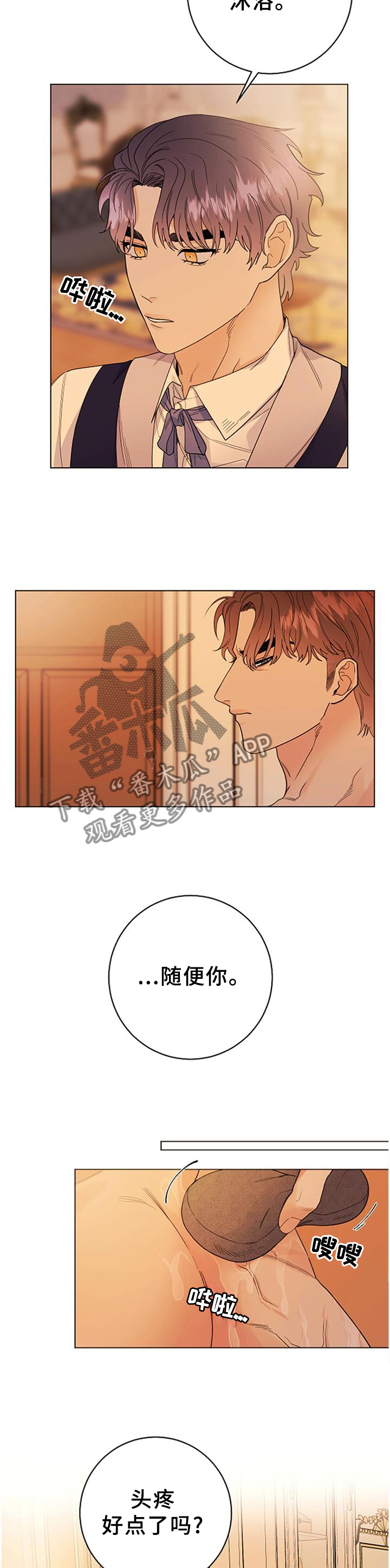 第40章：血统的故事2