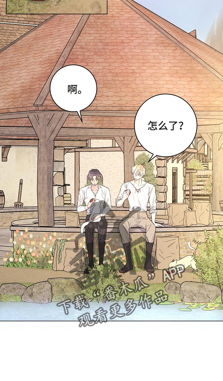 第102章：【番外】我给你做面包19