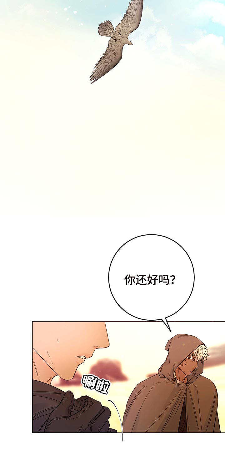 第111章：【番外】毒蛇8