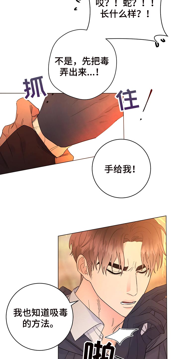 第111章：【番外】毒蛇21