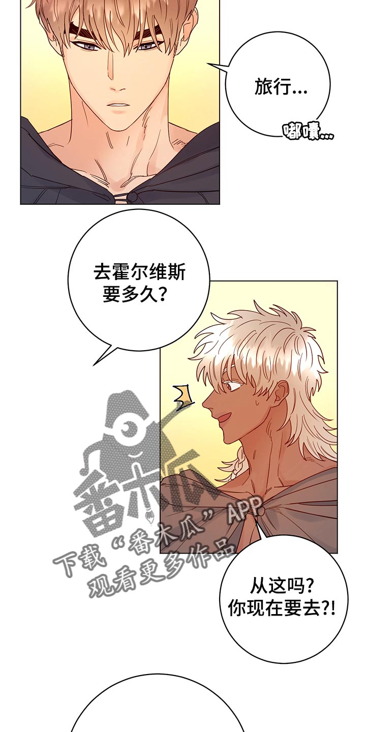 第113章：【番外】旅行（完结）17