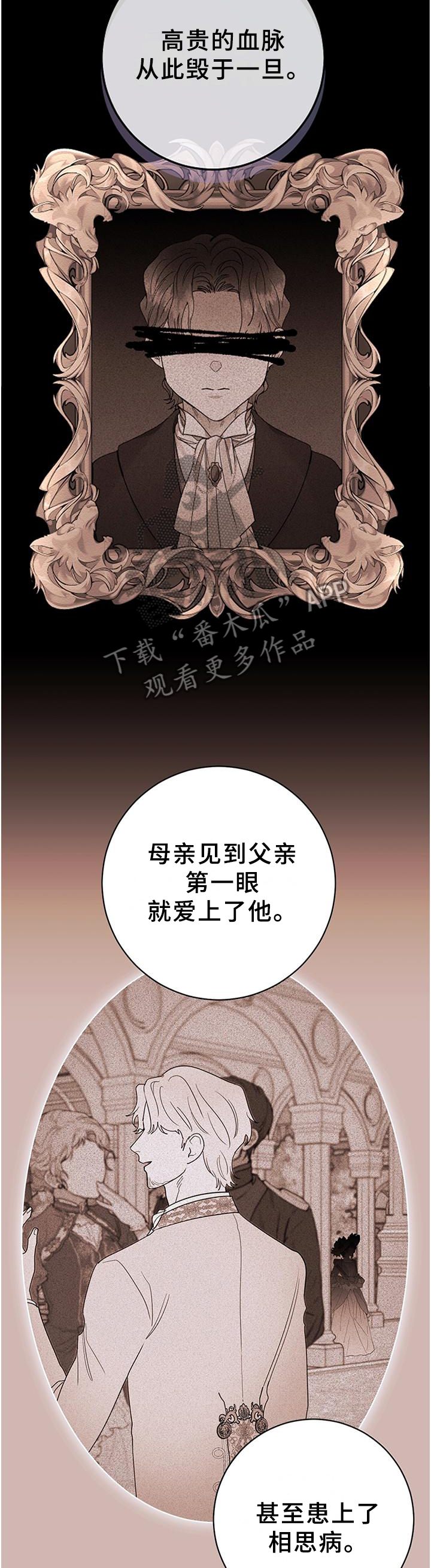 第40章：血统的故事9